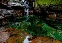 Catat! Kolam Sebening Kaca Ternyata Ada Juga di Bogor