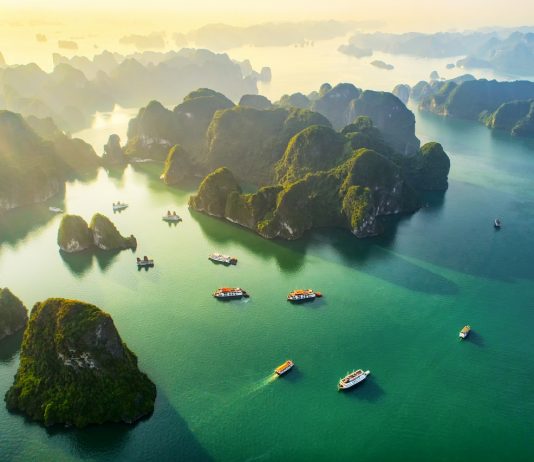 Kini Giliran Vietnam Tangguhkan Pemberian Visa