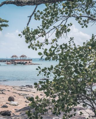 Walau Mungil, Singapura Punya Area Hijau yang Dekatkan Pejalan dengan Alam