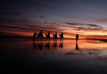 Unik, Virtual Background Zoom Ini Bikin Anda Serasa di NSW