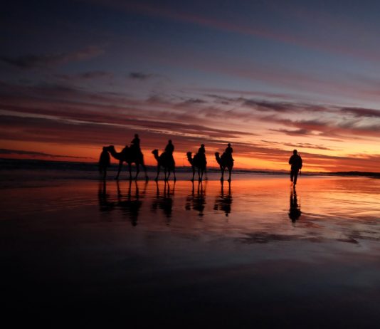 Unik, Virtual Background Zoom Ini Bikin Anda Serasa di NSW