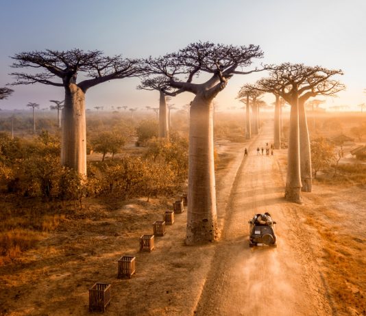 Yuk, Belajar Lebih Banyak Soal Alam dengan Daily Dose of Nature!