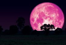 Yuk, Saksikan Keindahan Super Pink Moon Malam Ini!