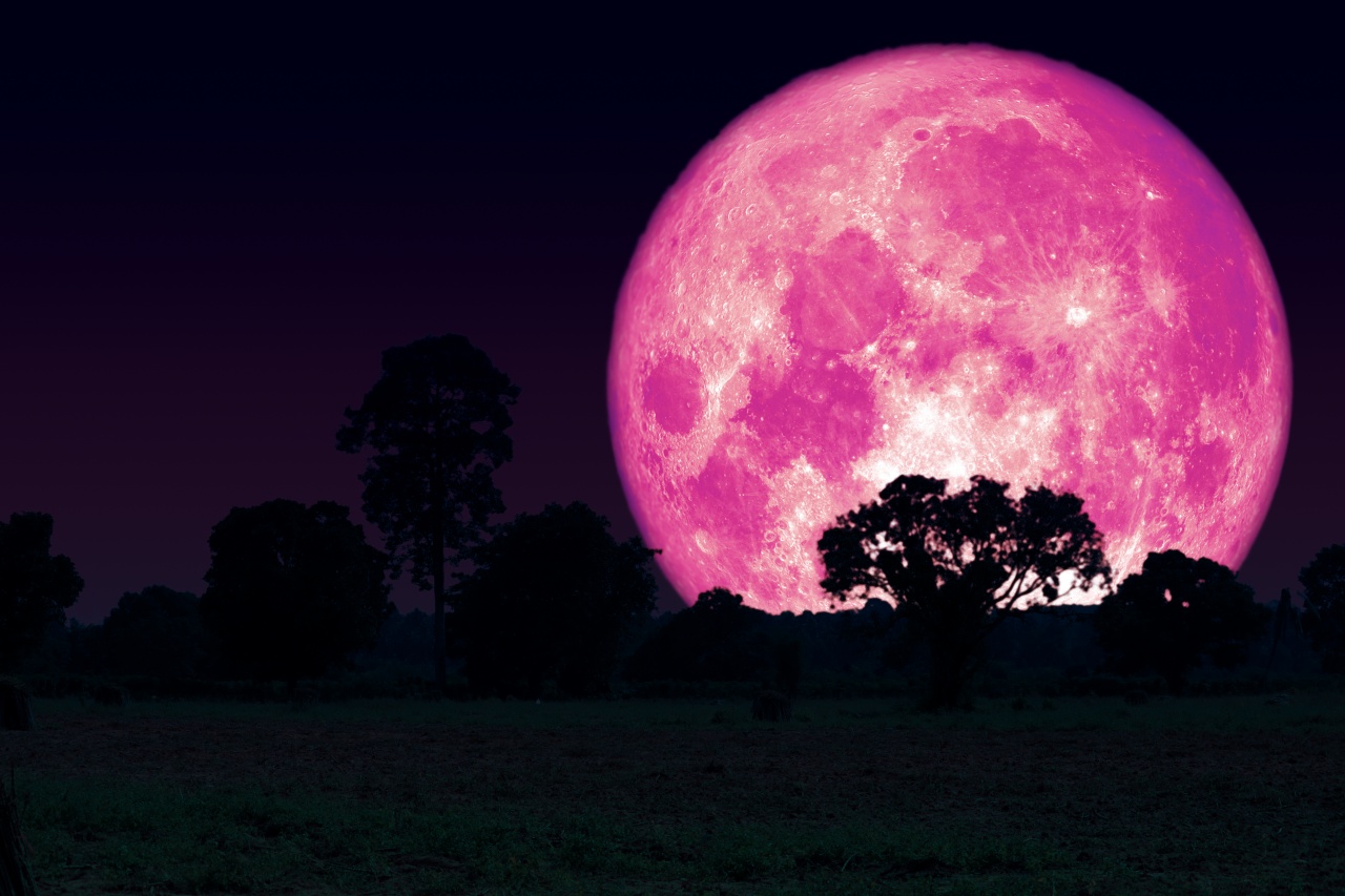 Yuk, Saksikan Keindahan Super Pink Moon Malam Ini! Where Your Journey