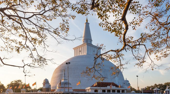 Agustus Mendatang Sri Lanka Dapat Dikunjungi Wisatawan