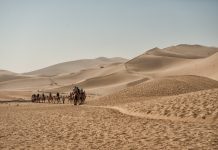 Bosan ke Pantai? Coba Liburan ke 5 Gurun di Asia Ini