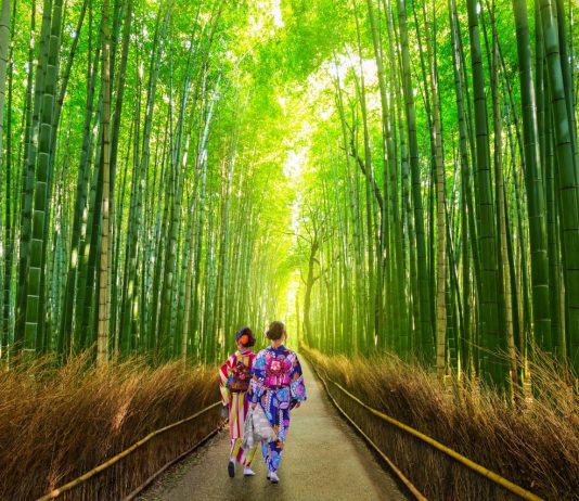 Jepang Berencana Buat Kuota Masuk Harian untuk WNA