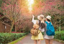 Belum Bisa Bepergian Jauh? Traveling Dalam Kota Juga Punya Banyak Manfaat!