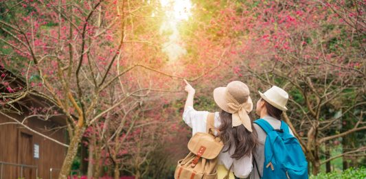 Belum Bisa Bepergian Jauh? Traveling Dalam Kota Juga Punya Banyak Manfaat!