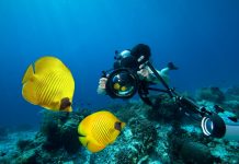 Ikuti 5 Tip Ini untuk Hasil Foto Bawah Air yang Menakjubkan!