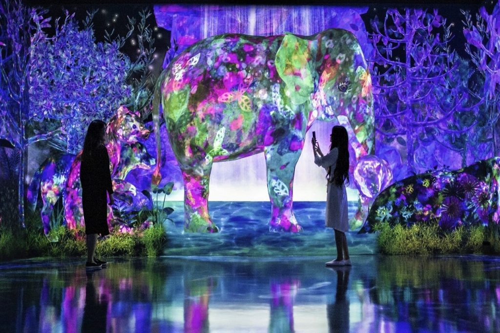 Jelajah Hutan Digital di teamLab Forest Fukuoka Where Your Journey Begins