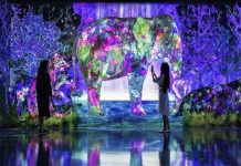 Jelajah Hutan Digital di teamLab Forest Fukuoka