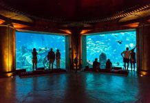 Jalan-jalan Virtual ke Dubai Mall Bersama Panorama JTB