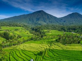 5 Tempat Wisata di Tabanan Buka Kembali dan Terbatas bagi Warga Lokal