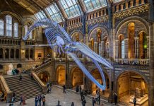 Agustus Mendatang, 3 Museum Populer di London Akan Dibuka Kembali