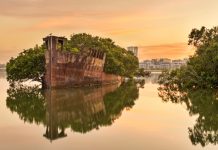 Bangkai Kapal Berusia Seabad di Sydney Ini Kini Jadi Hutan Apung