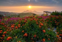 Yang Baru di Magelang, Spot Sunrise Berlatar Gunung Sumbing