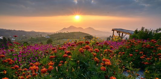 Yang Baru di Magelang, Spot Sunrise Berlatar Gunung Sumbing