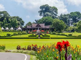 Setelah Tutup 3 Bulan, Kebun Raya Bogor Kembali Beroperasi