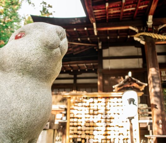 Gemas! Kuil Shinto di Kyoto Ini Didedikasikan untuk Kelinci