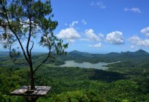 Strategis dan Berpotensi Menjanjikan, Kulon Progo Bangun Hotel Berbintang