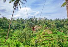 TripAdvisor Rilis Daftar Pengalaman Liburan Terbaik Sedunia, Bali Masuk 20 Besar