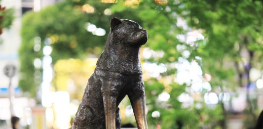 Hachiko Ditunjuk Jadi Wali Kota Virtual Shibuya