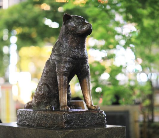 Hachiko Ditunjuk Jadi Wali Kota Virtual Shibuya