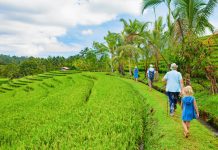 5 Hotel di Indonesia Ini Tawarkan Kegiatan Menarik untuk Mengisi Liburan