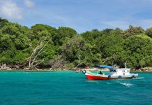 TN Ujung Kulon Beroperasi Kembali, Simak Aturan Masuk Terbarunya