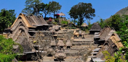 Tak Sekadar Penghasil Kopi, Bajawa Juga Punya Desa-desa Tradisional Suku Ngada