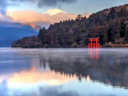 Suguhkan Panorama Gunung Fuji, Ini 4 Aktivitas Seru di Hakone