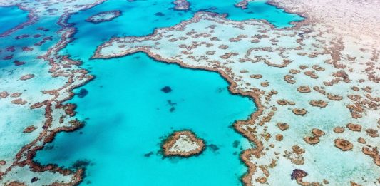 Heart Reef, Gugusan Karang Berbentuk Hati di Australia Kini Bisa Dikunjungi