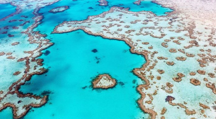 Heart Reef, Gugusan Karang Berbentuk Hati di Australia Kini Bisa Dikunjungi