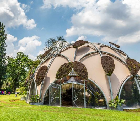 5 Tujuan Wisata di Bogor yang Sudah Beroperasi Saat Ini