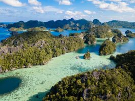Mau ke Raja Ampat? Simak Rencana Perjalanan 5H/4M Ini