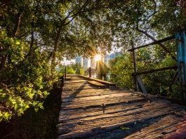 Pantai Indah Kapuk Jadi Lokasi Hotel Indigo Pertama di Jakarta