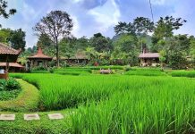 3 Restoran Baru Bernuansa Alam di Sentul, Cocok untuk Liburan Akhir Pekan