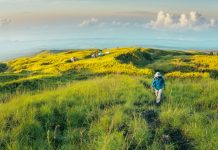 Jalur Pendakian Doro Ncanga, Tawarkan Pemandangan Sabana ala Afrika
