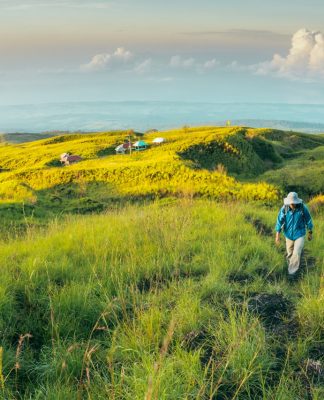 Jalur Pendakian Doro Ncanga, Tawarkan Pemandangan Sabana ala Afrika