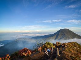 Ingin Mendaki Gunung Gede Pangrango? Simak Dulu Aturan Terbarunya