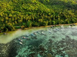 Siap Dibuka Kembali, Ini Panduan Lengkap Menjelajah Karimunjawa