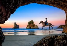 Geser Jepang dan Singapura, Selandia Baru Kini Miliki Paspor Paling Berpengaruh