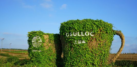 Wajib Masuk Daftar Kunjungan, Ini 7 Museum Terunik di Jeju