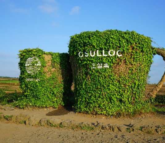 Wajib Masuk Daftar Kunjungan, Ini 7 Museum Terunik di Jeju