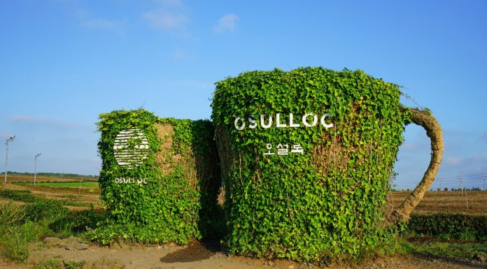 Wajib Masuk Daftar Kunjungan, Ini 7 Museum Terunik di Jeju