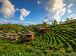 Thailand Gandeng Airbnb untuk Promosikan Pariwisata Berbasis Komunitas