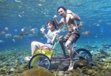 Umbul Ponggok, Taman Air Kekinian di Klaten Dibuka Lagi, Terapkan Protokol Ketat