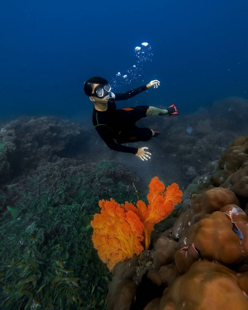 Ide Liburan Seru Snorkeling Sepuasnya Di Pulau Tabuhan Where Your Journey Begins 6828