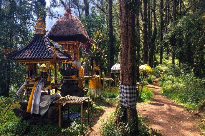 Gunung Abang, Puncak Tertinggi Ketiga di Bali yang Masih Jarang Didaki